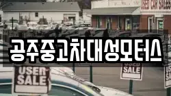 공주중고차대성모터스