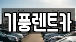 충남 공주시 신기동 렌트카,단기렌트카,장기렌트카,중고차,중고차매매,중고차매입