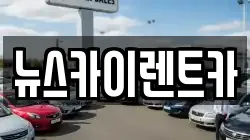 뉴스카이렌트카
