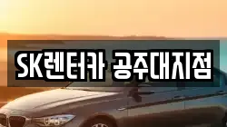 충남 공주시 쌍신동 렌트카,단기렌트카,장기렌트카,중고차,중고차매매,중고차매입