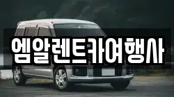 엠알렌트카여행사