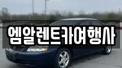엠알렌트카여행사