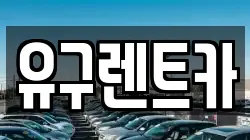 충남 공주시 유구읍 렌트카,단기렌트카,장기렌트카,중고차,중고차매매,중고차매입