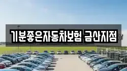 기분좋은자동차보험 금산지점