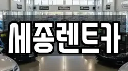 세종렌트카