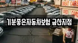 기분좋은자동차보험 금산지점