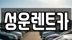충남 금산군 금산읍 렌트카,단기렌트카,장기렌트카,중고차,중고차매매,중고차매입