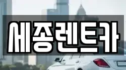 세종렌트카