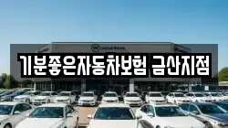 기분좋은자동차보험 금산지점
