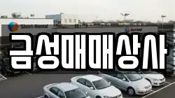 금성매매상사