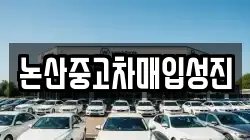 논산중고차매입성진