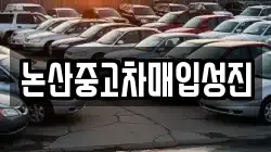 논산중고차매입성진