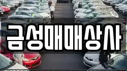 금성매매상사