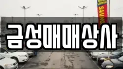금성매매상사