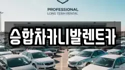 승합차카니발렌트카