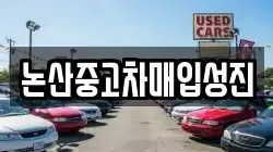 논산중고차매입성진