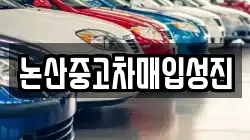 논산중고차매입성진