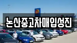 논산중고차매입성진