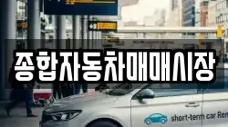 종합자동차매매시장