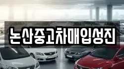 논산중고차매입성진