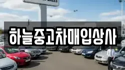 하늘중고차매입상사
