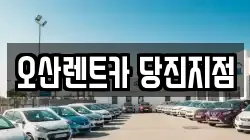 충남 당진시 채운동 렌트카,단기렌트카,장기렌트카,중고차,중고차매매,중고차매입