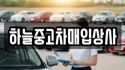 하늘중고차매입상사