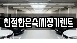 친절한은숙씨장기렌트