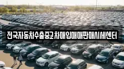 충남 보령시 신흑동 렌트카,단기렌트카,장기렌트카,중고차,중고차매매,중고차매입