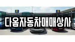 충남 보령시 요암동 렌트카,단기렌트카,장기렌트카,중고차,중고차매매,중고차매입