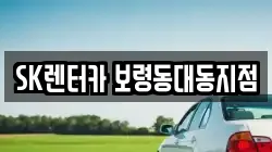 충남 보령시 렌트카,단기렌트카,장기렌트카,중고차,중고차매매,중고차매입