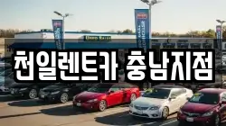 충남 부여군 부여읍 렌트카,단기렌트카,장기렌트카,중고차,중고차매매,중고차매입