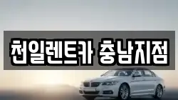 충남 부여군 렌트카,단기렌트카,장기렌트카,중고차,중고차매매,중고차매입