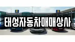 태성자동차매매상사