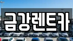 충남 서산시 대산읍 렌트카,단기렌트카,장기렌트카,중고차,중고차매매,중고차매입