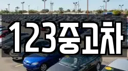 123중고차