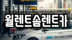 월렌트솜렌트카