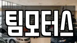 팀모터스