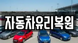 자동차유리복원
