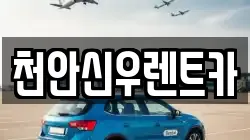 천안신우렌트카