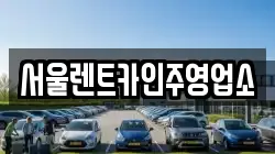 서울렌트카인주영업소