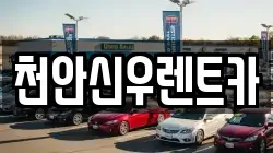 천안신우렌트카