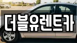 더블유렌트카