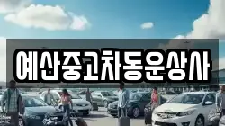 예산중고차동운상사