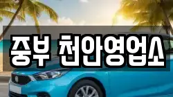 충남 렌트카,단기렌트카,장기렌트카,중고차,중고차매매,중고차매입