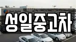 성일중고차