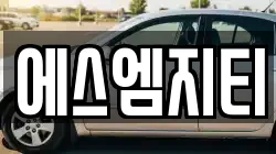 에스엠지티