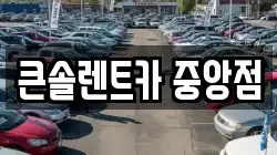 충남 천안시 동남구 삼룡동 렌트카,단기렌트카,장기렌트카,중고차,중고차매매,중고차매입