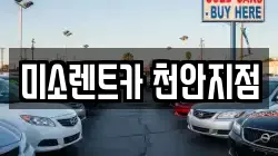 충남 천안시 동남구 신방동 렌트카,단기렌트카,장기렌트카,중고차,중고차매매,중고차매입