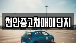 천안중고차매매단지